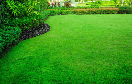green lawn with beautiful flower beds