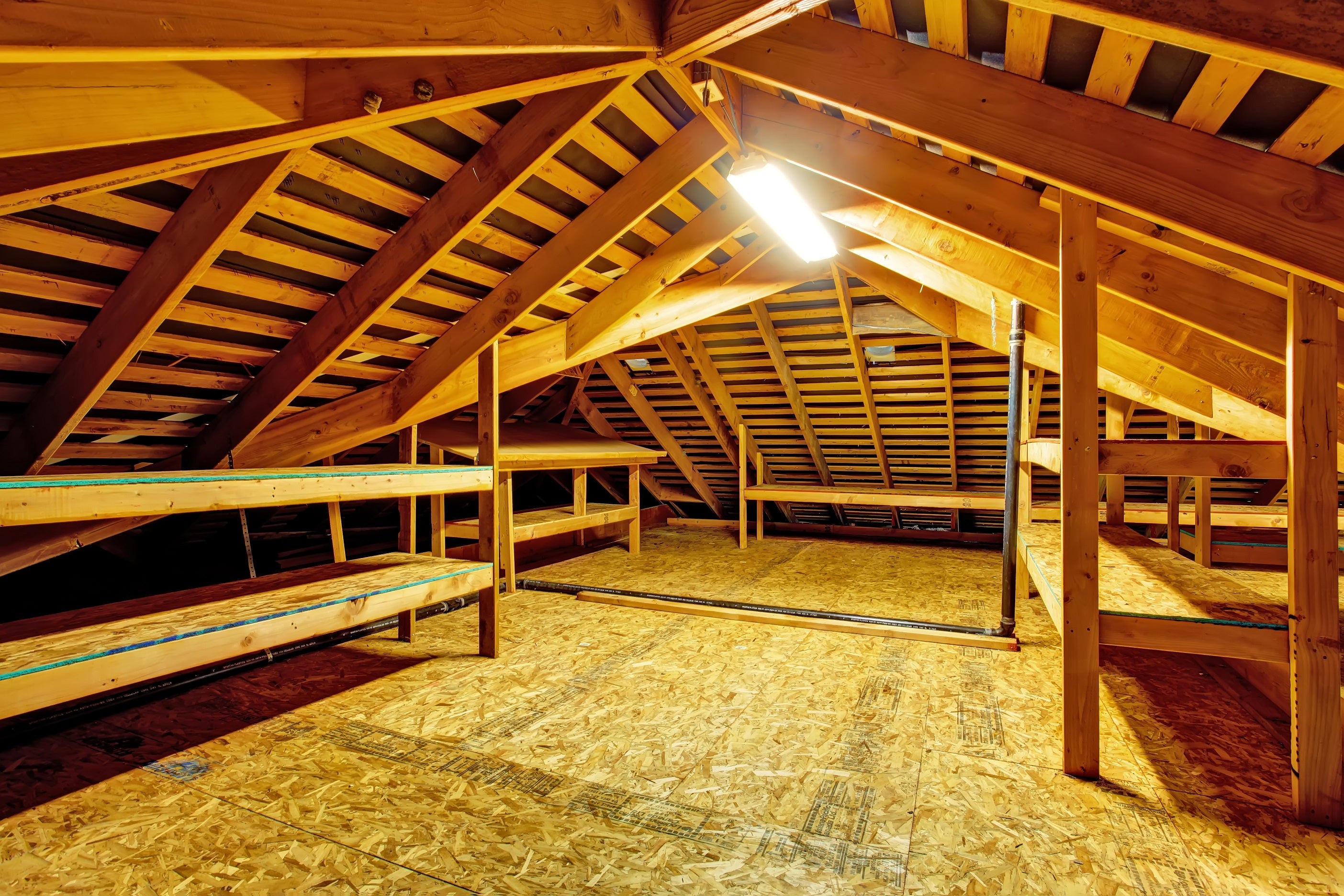 empty garage attic with shelves